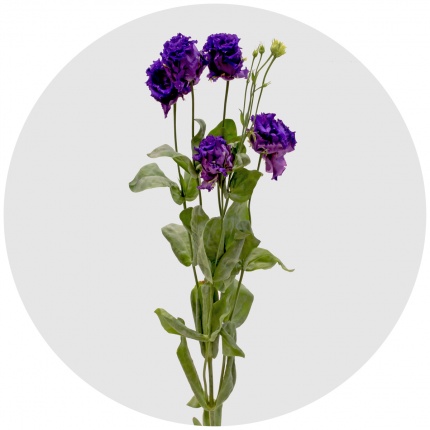 Набор для вышивания «Марья Искусница» 03.016.20 Синий цветок (МИ)
