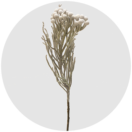 Бруния крашеная белая (White)
