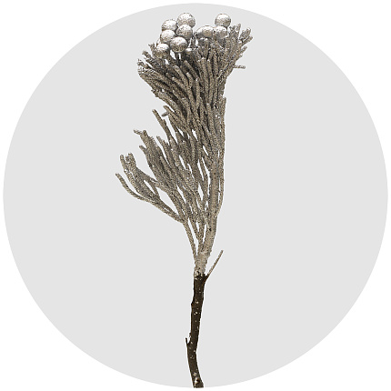 Бруния крашеная серебряная (Silver)