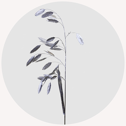 Хасмантиум крашеный серебряный (Silver)